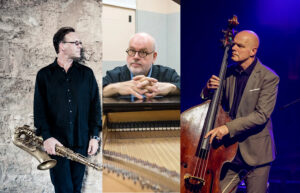 Berkman-Armacost-Teepe Trio